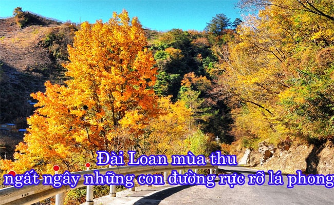 Dai Loan mua thu 1