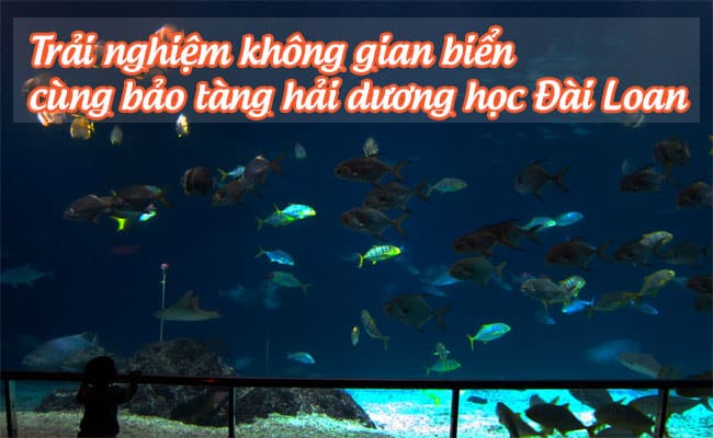 bao tang hai duong hoc 1