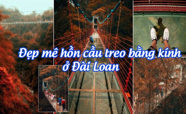 cau treo bang kinh o dai loan 1