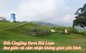 cingjing farm dai loan 1