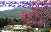 nui yangming Dai Loan 3