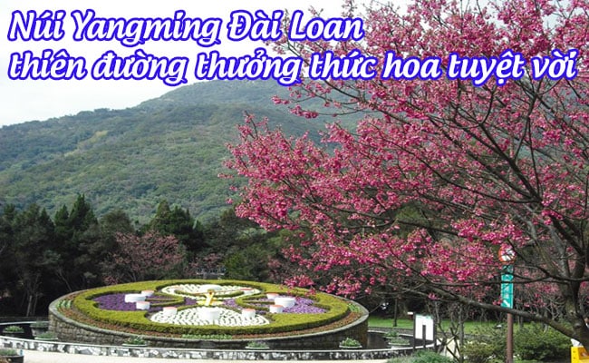 nui yangming Dai Loan 3