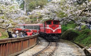 duong sat Alishan Railway 4