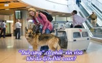 thu cung co phai xin visa khu du lich dai loan