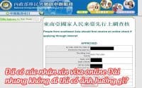da co xac nhan xin visa online dai nhung khong di thi co anh huong gi