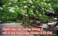 le hoi hoa tung Hakka o xu dai