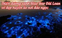 thien duong xanh blue tear dai loan 1